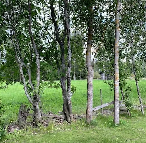 Vierastupa Laehellae Keskustaa Apartamento Oulu